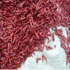 Hot Sale Dried Red Chaotian Chili