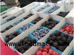 fruits,berry,fruits from india