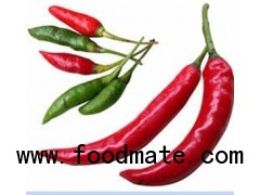 Red Chillies