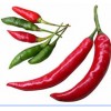 Red Chillies