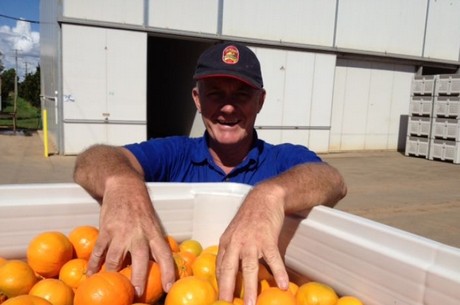 Queensland citrus