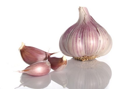 garlic 