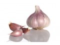 European garlic professionals agree on measures against new Chinese quota