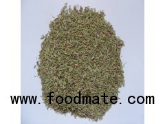 Fennel Seed