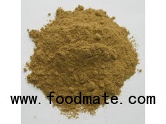 100% Purity Cumin Powder