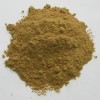  Purity Cumin Powder