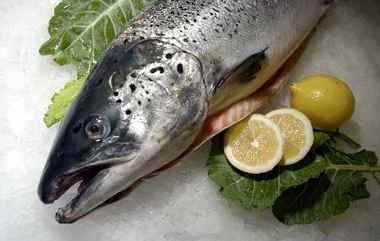 mislabeled salmon