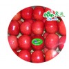Lapins Cherry