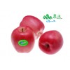 Red Fuji Apple