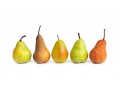 Harmony on European pear market