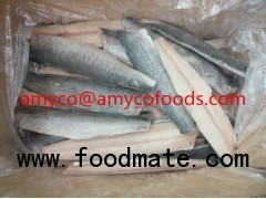 Spanish Mackerel Fillet