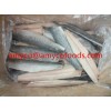 Spanish Mackerel Fillet