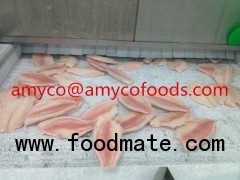 Frozen Tilapia Fillet