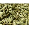 Grade A Fennel Seeds Available For Sale