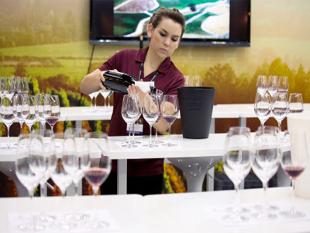 wine expo