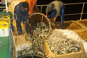 Peruvian aquaculture