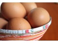ACCC takes action following alleged egg cartel attempt