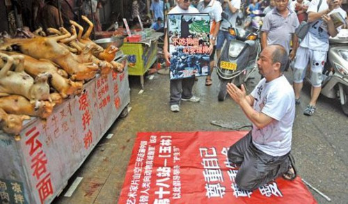 dog meat festival