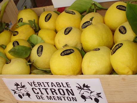 Menton lemon