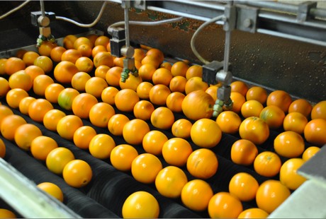 South African Summer Citrus