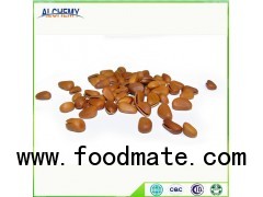 Great Khingan Pine nut