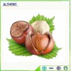 Chinese Chestnut similar to hazelnut
