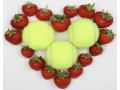 UK strawberry growers gear up for Wimbledon fortnight
