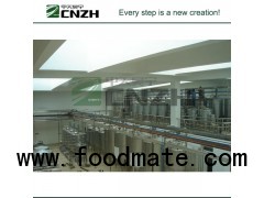 Natural Condiments Production Line