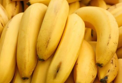 GMO bananas
