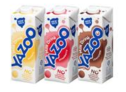 YAZOO