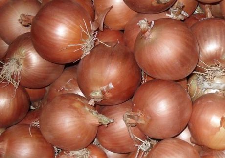 Spanish onion 