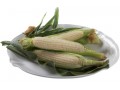 Non-GMO Amaize Sweet Corn returning for limited time