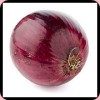 RED ONION