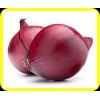 FRESH PEEKD ONION RED