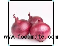 NEW CROP RED ONION