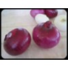 DELLARY RED ONION