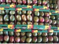 Senegalese Kent mangoes now imported directly by Spain