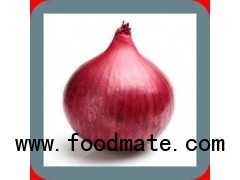 DEHYDRATED DRIED RED ONION
