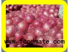 RED ONION FROM MUMBAI