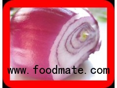 SUPPLY RED ONION