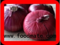 FRESH RED ONION SUPPLIER