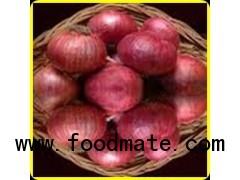 COLD STORAGE ONION