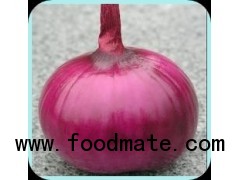 VERIETY OF RED ONION