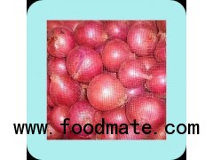 MEDICINAL ONION RED