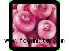 RED ONION FRESH