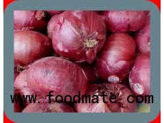 MIDDEL EAST RED ONION