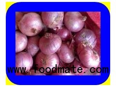 WHOLE RED ONION