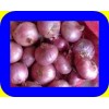 WHOLE RED ONION