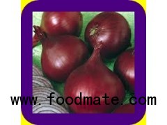 QUALITY SPRING RED ONION