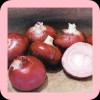 FRIED RED ONION